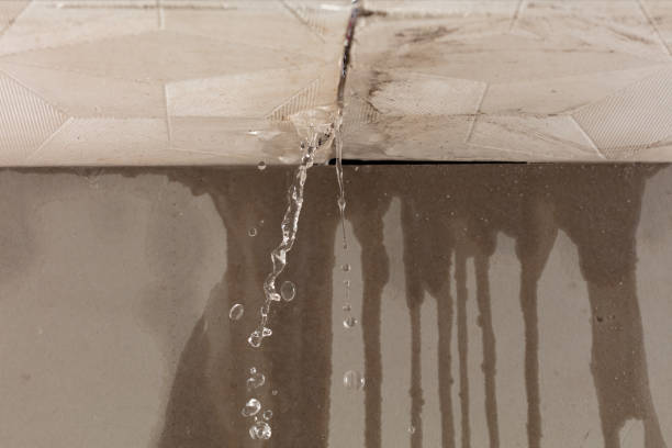 Professional Structural Drying technician working in Potter, WI